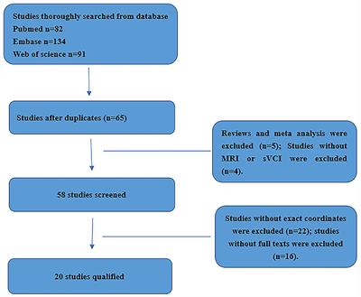 An ALE Meta-Analysis of Specific Functional MRI Studies on Subcortical Vascular Cognitive Impairment